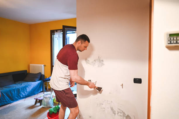 Best Mold Remediation  in Big Rapids, MI