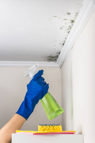Water Damage Restoration in Big Rapids, MI